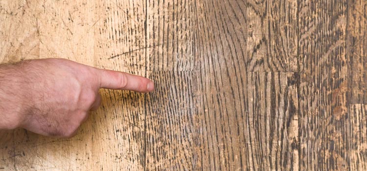 Wood Door Scratch Repair in Westminster